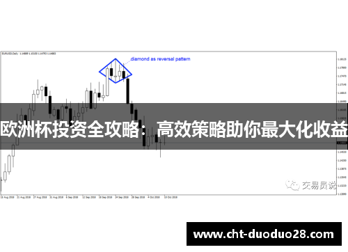 欧洲杯投资全攻略：高效策略助你最大化收益