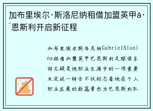 加布里埃尔·斯洛尼纳租借加盟英甲巴恩斯利开启新征程
